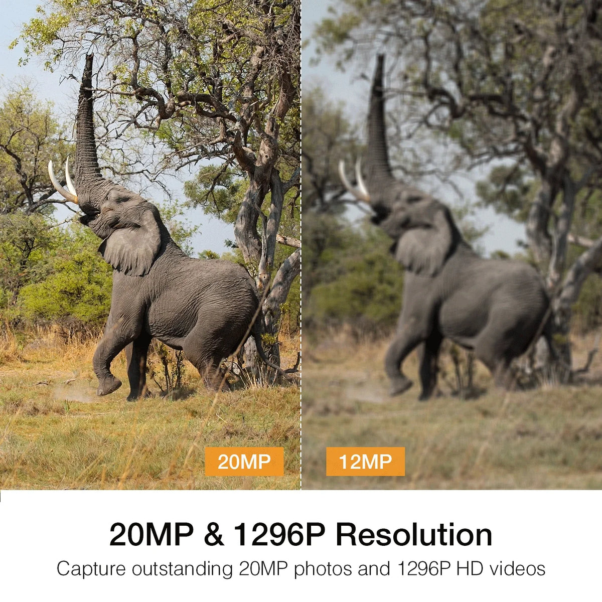 H80 WiFi Bluetooth Trail Camera 20MP 1296P Game Hunting Camera with Nigth Vision Waterproof