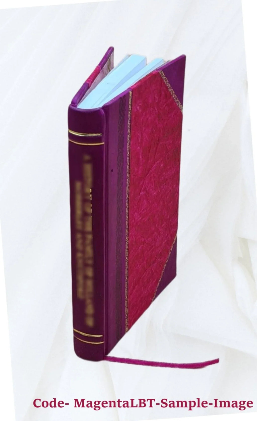J.-B. Flavigny, évêque constitutionnel de la Haute-Saône : sa correspondance avec Grégoire & Dom Grappin, 1795-1802 ([Reprod.]) / [éd. par] par Georges Gazier,... 1907 [Leather Bou
