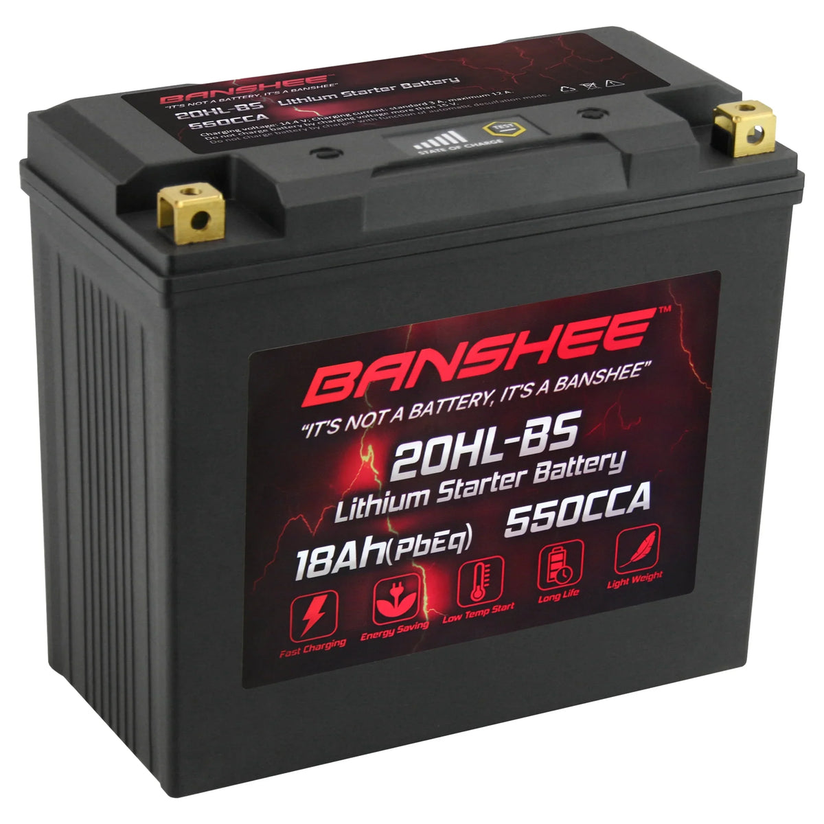 Banshee 20L- LiFePO4 Motorsports Battery Compatible with Yamaha VX1100D WaveRunner V1 Sport 2015 to 2015