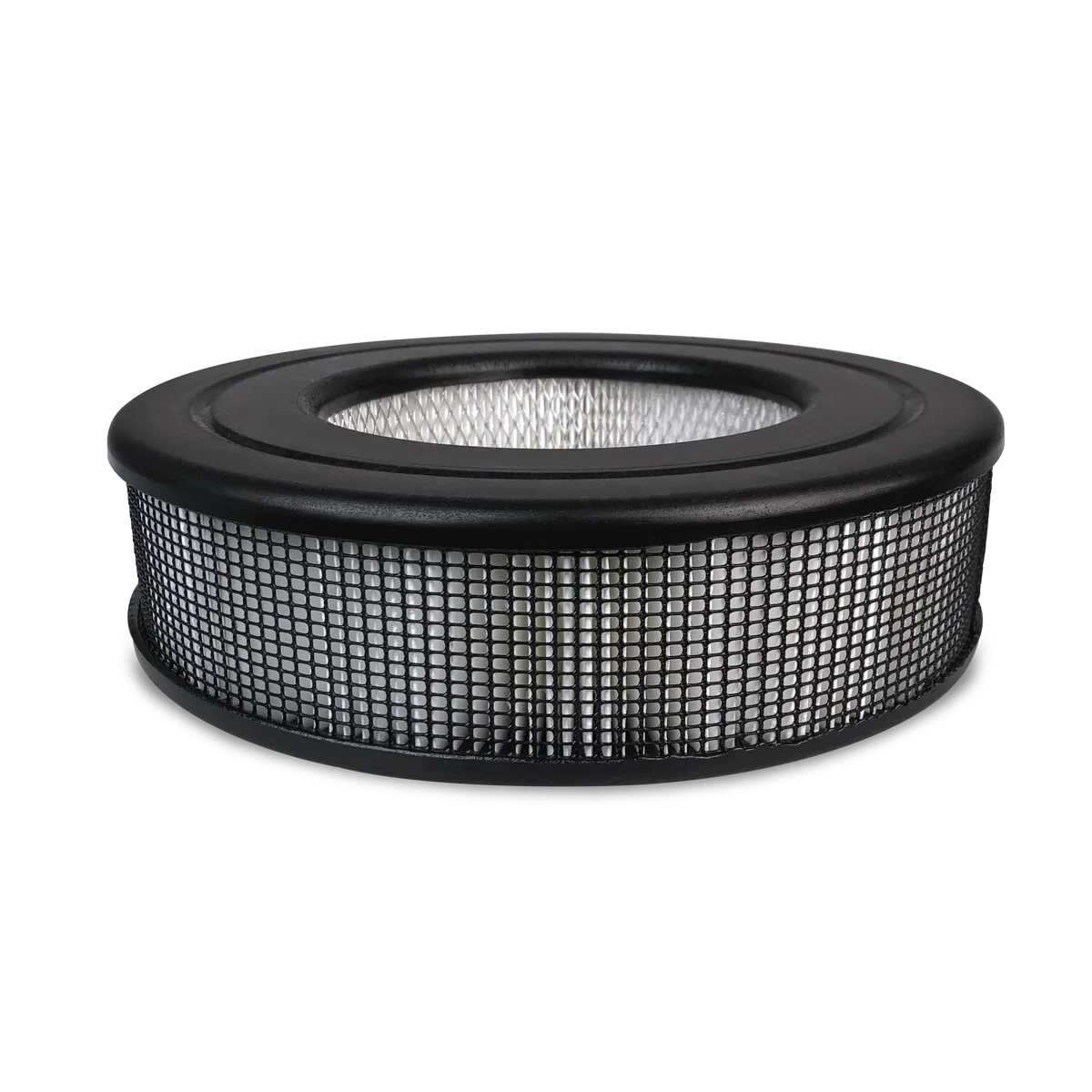 Honeywell Air Purifier Replacement Filter, -D1, D  Filter, 1 Pack