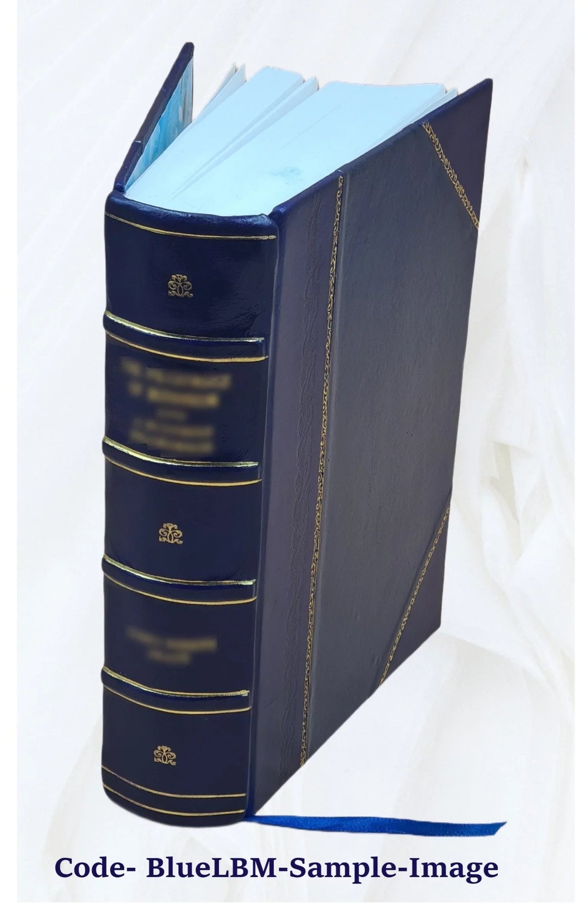 Reports from the Lords Committees Touching the Dignity of a Peer of the Realm, &c. &c. With appendixes. Vol. I-[V]. Volume v.2 1829 [Leather Bound]