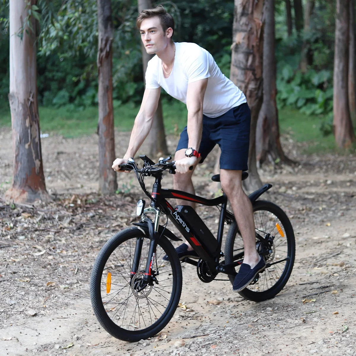 26 inch Electric Bike Battery