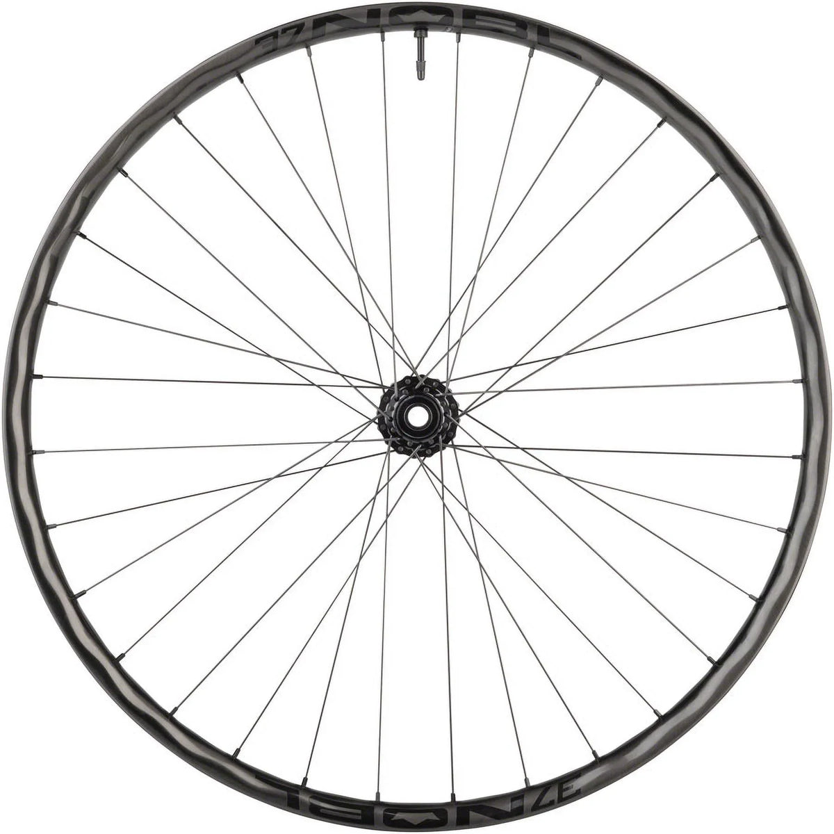TR37/Onyx Vesper Front Wheel - 29" 15 x 110mm 6-Bolt Black