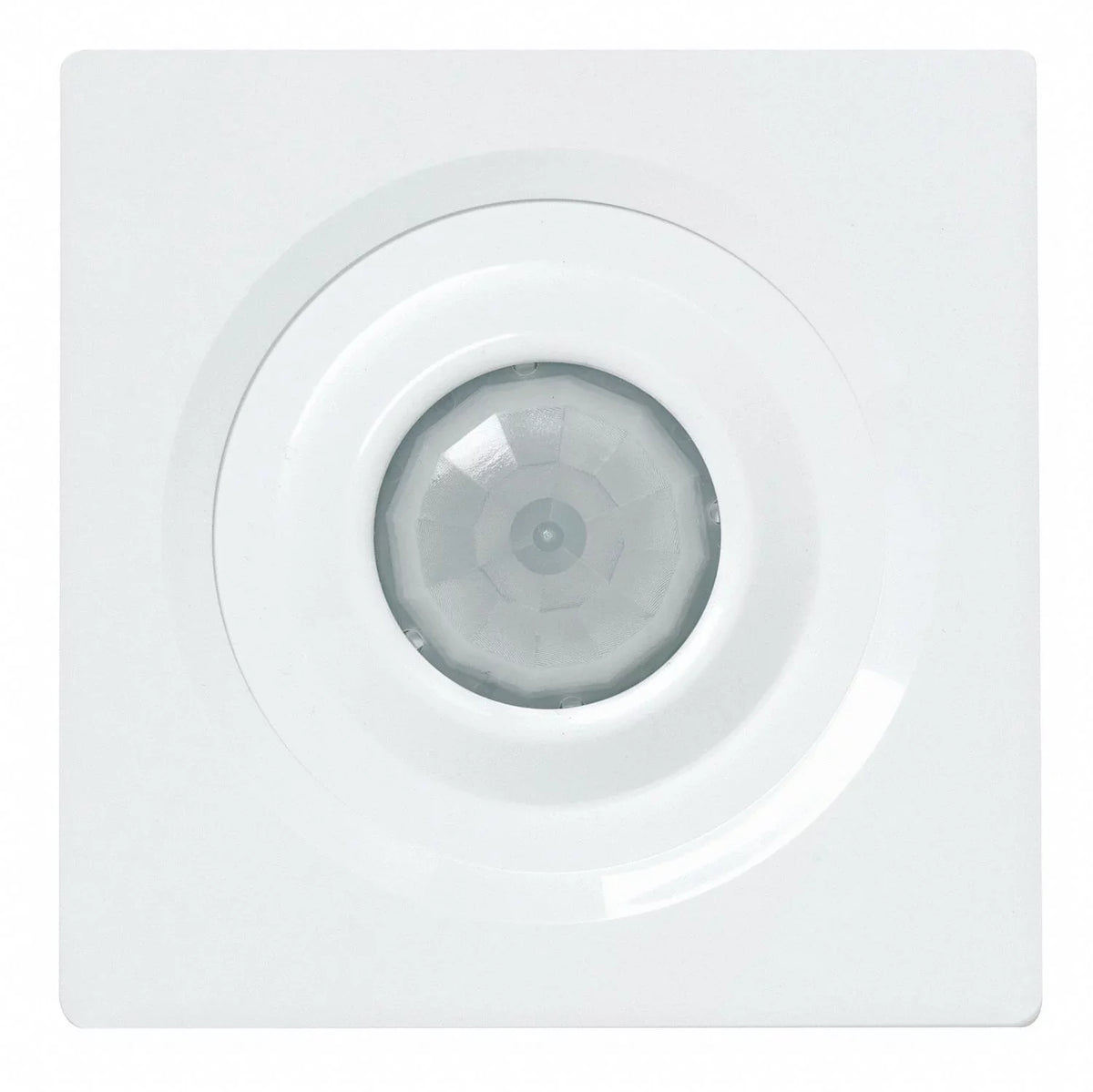Sensorswitch Occupancy Sensor,,2463 sq ft,White   10