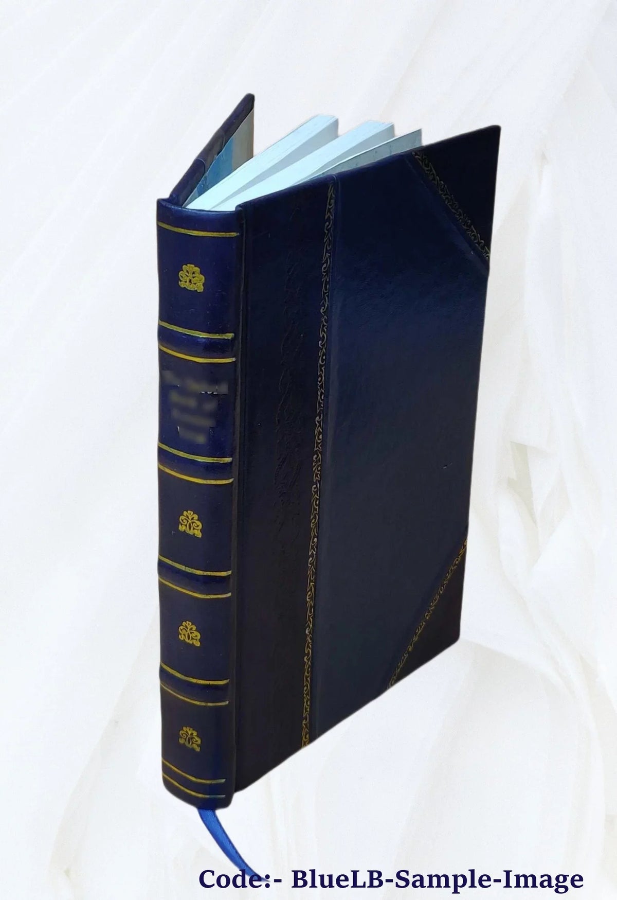 The river motor boat boys on the Mississippi, or, On the trail to the gulf 1913 [Leather Bound]