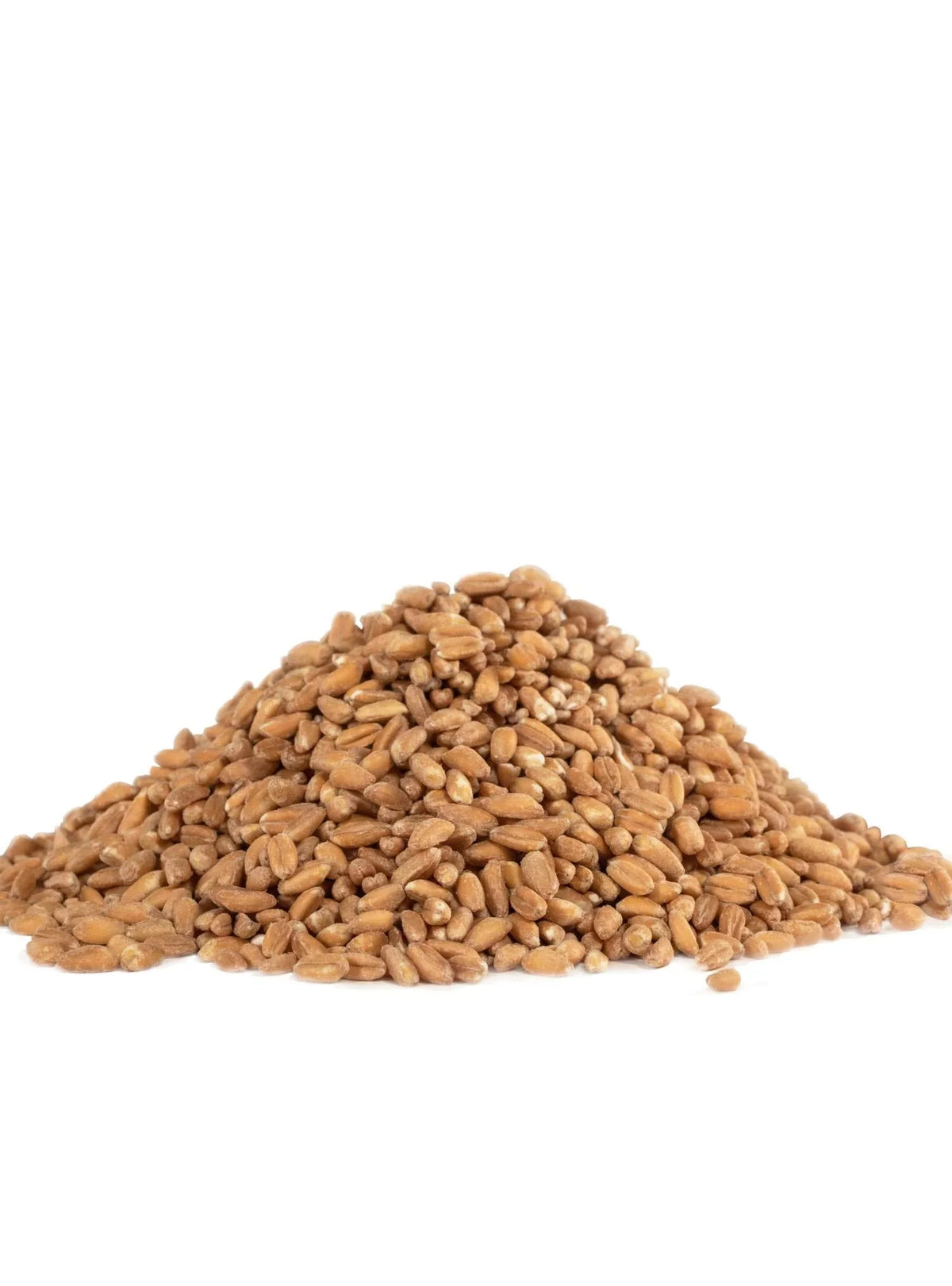 Bob's Red Mill Organic Farro Grain, 24 Ounce (Pack of 4)