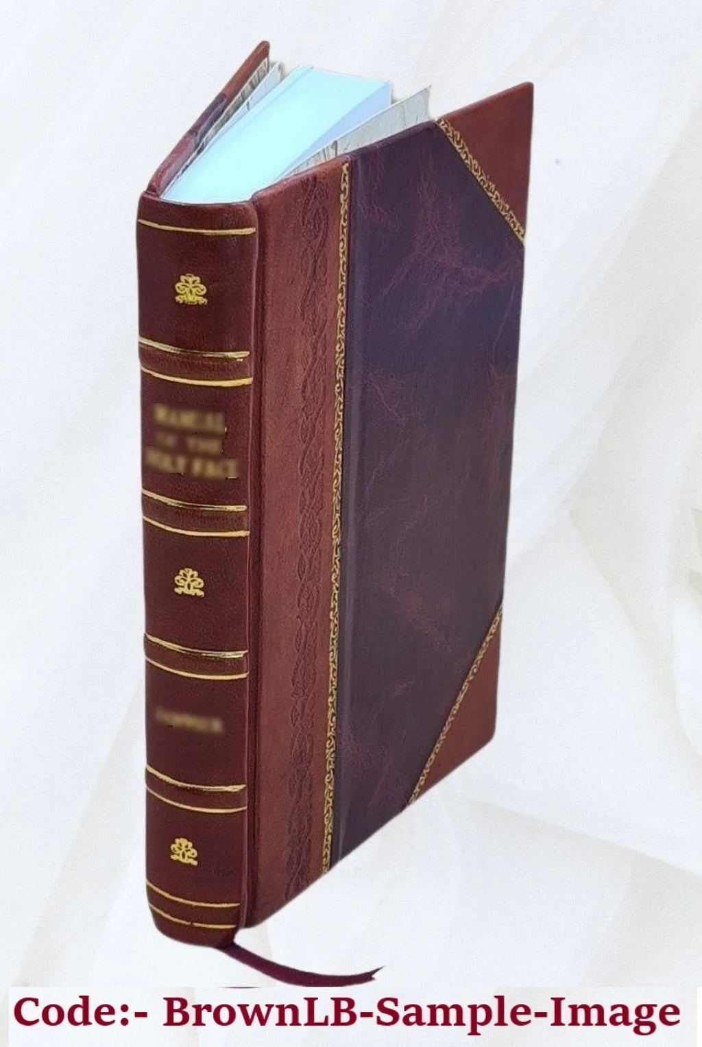 Funʹm yarid. Volume v.01 1917 [Leather Bound]