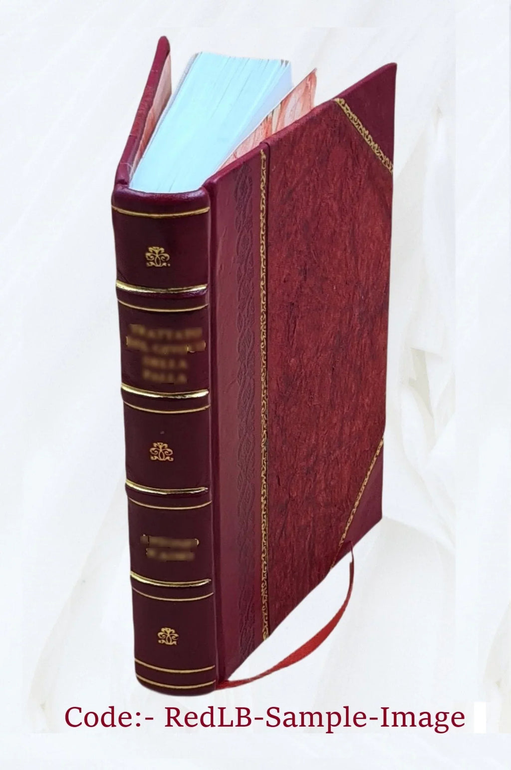 Wild life in Oregon : being a stirring recital of actual scenes of daring and peril among the gigantic forests and terrific rapids of the Columbia River (the Mississippi of the Pacific slope) : and gi