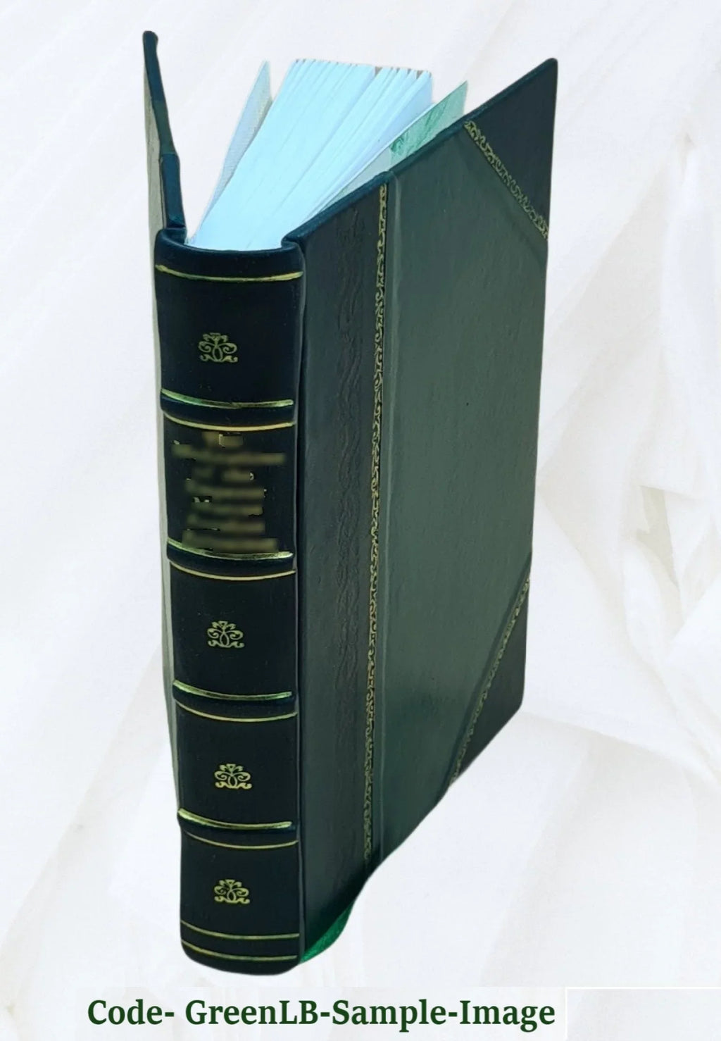 Funʹm yarid. Volume v.01 1917 [Leather Bound]