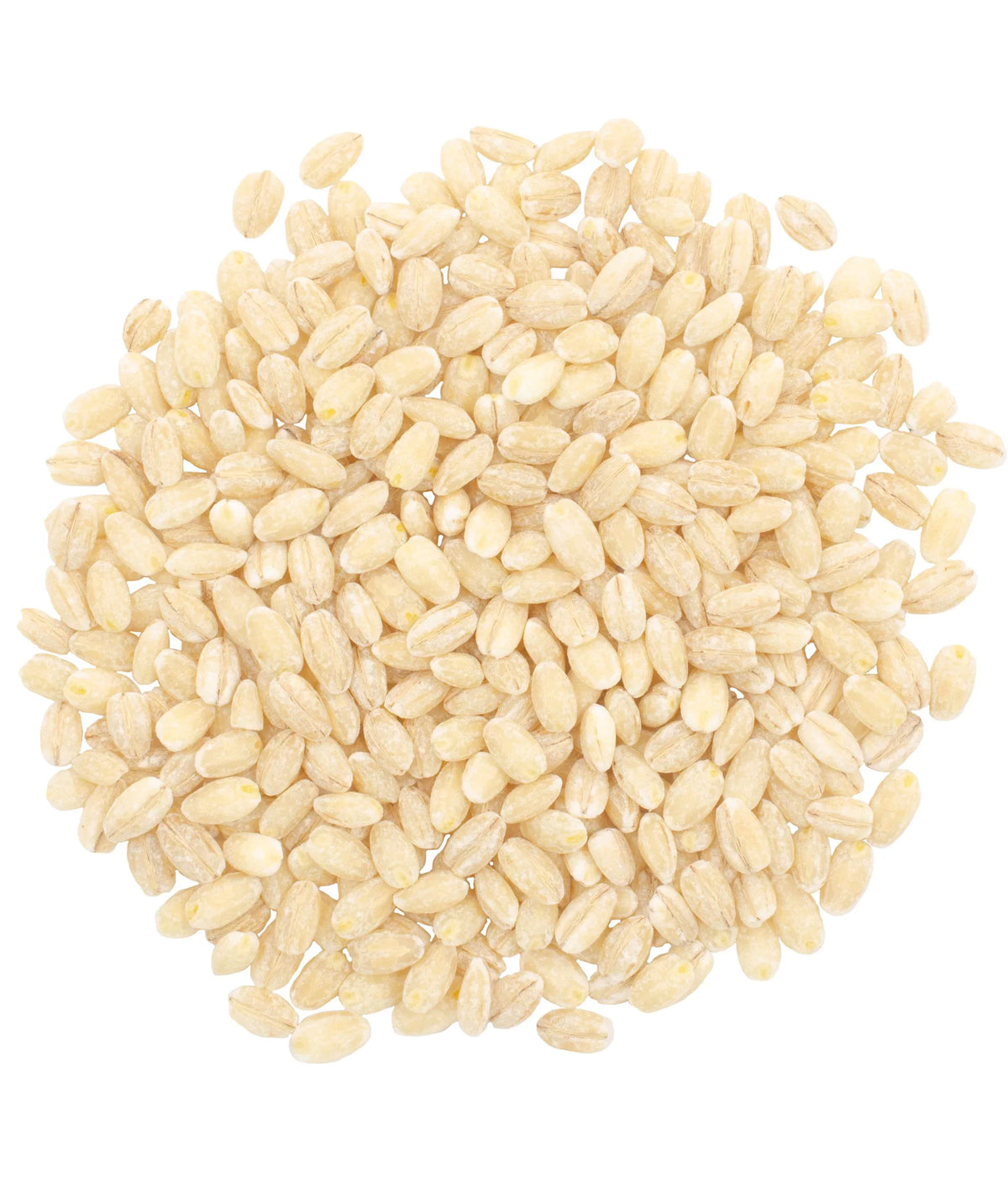 Pearled Barley Bulk | 25 lbs Bucket | Non  | Kosher | Food Storage