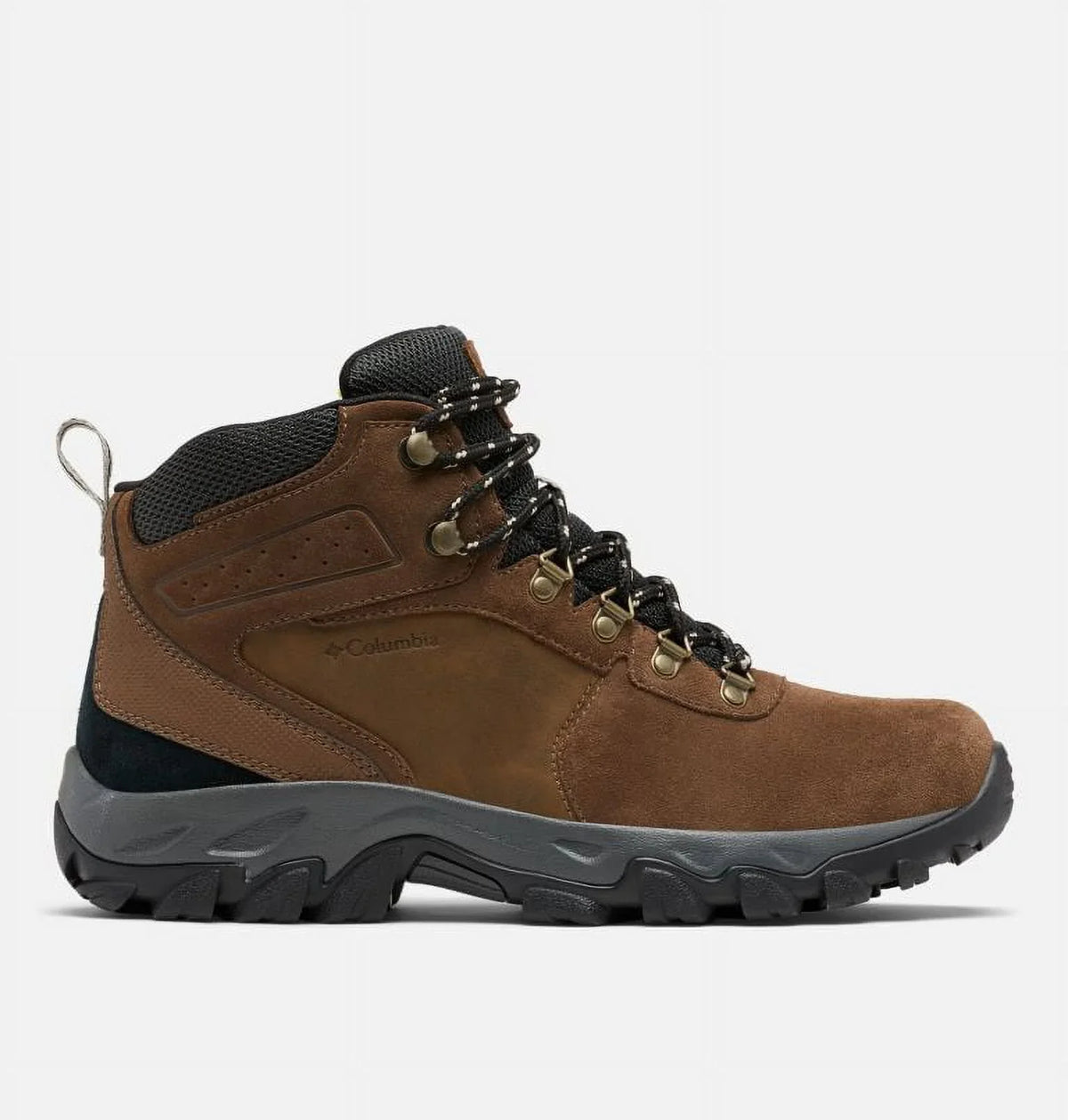 Men's Newton Ridge Plus  Suede Waterproof Hiking Boot